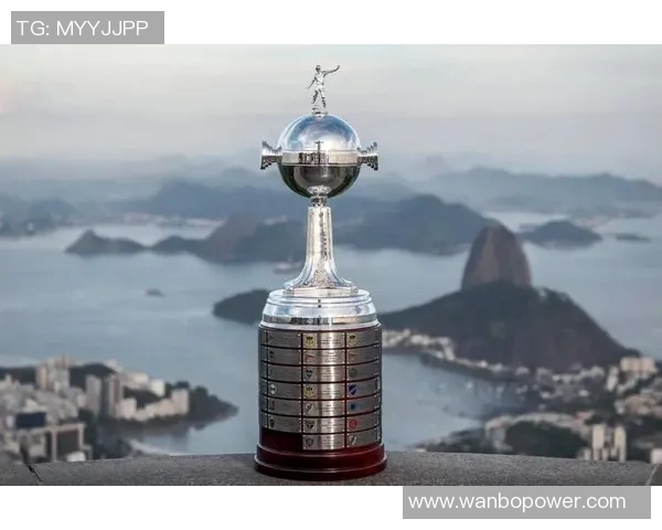 南美解放者杯决赛球队的巴西统治力近十年显著体现